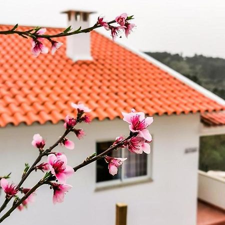 O Refúgio Villa Coimbra Kültér fotó