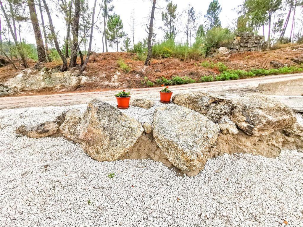 O Refúgio Villa Coimbra Kültér fotó