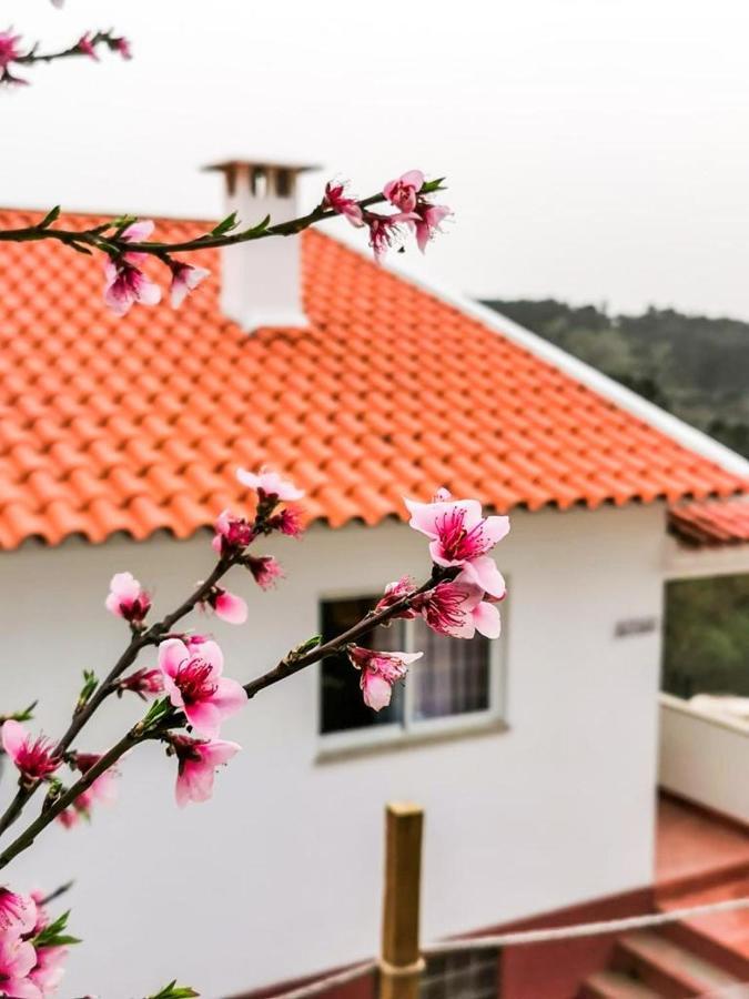 O Refúgio Villa Coimbra Kültér fotó