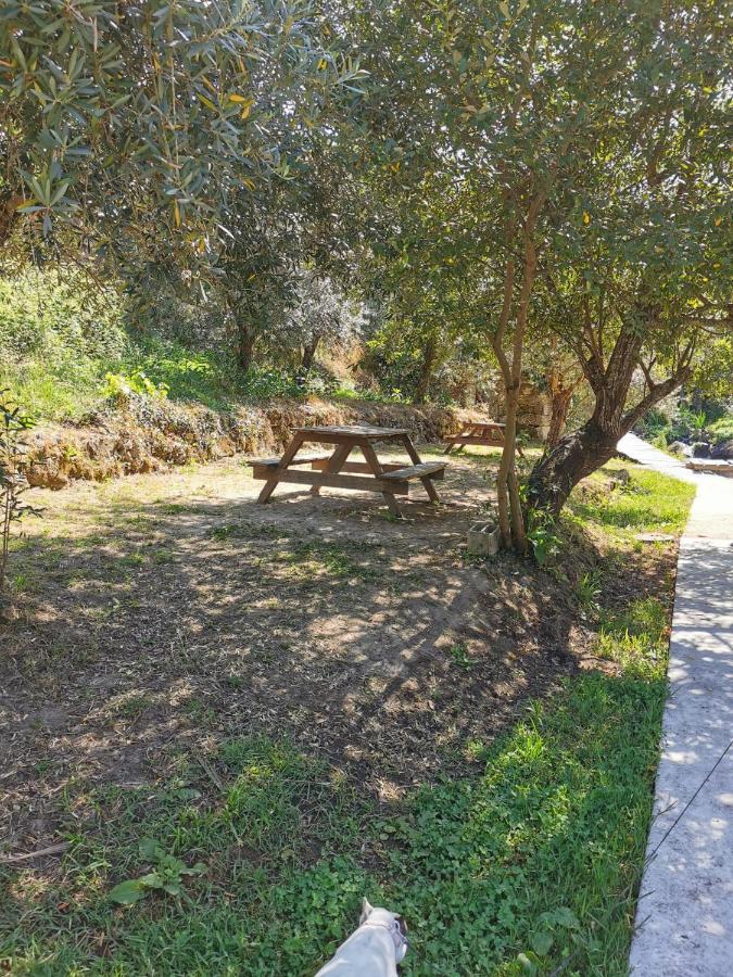 O Refúgio Villa Coimbra Kültér fotó